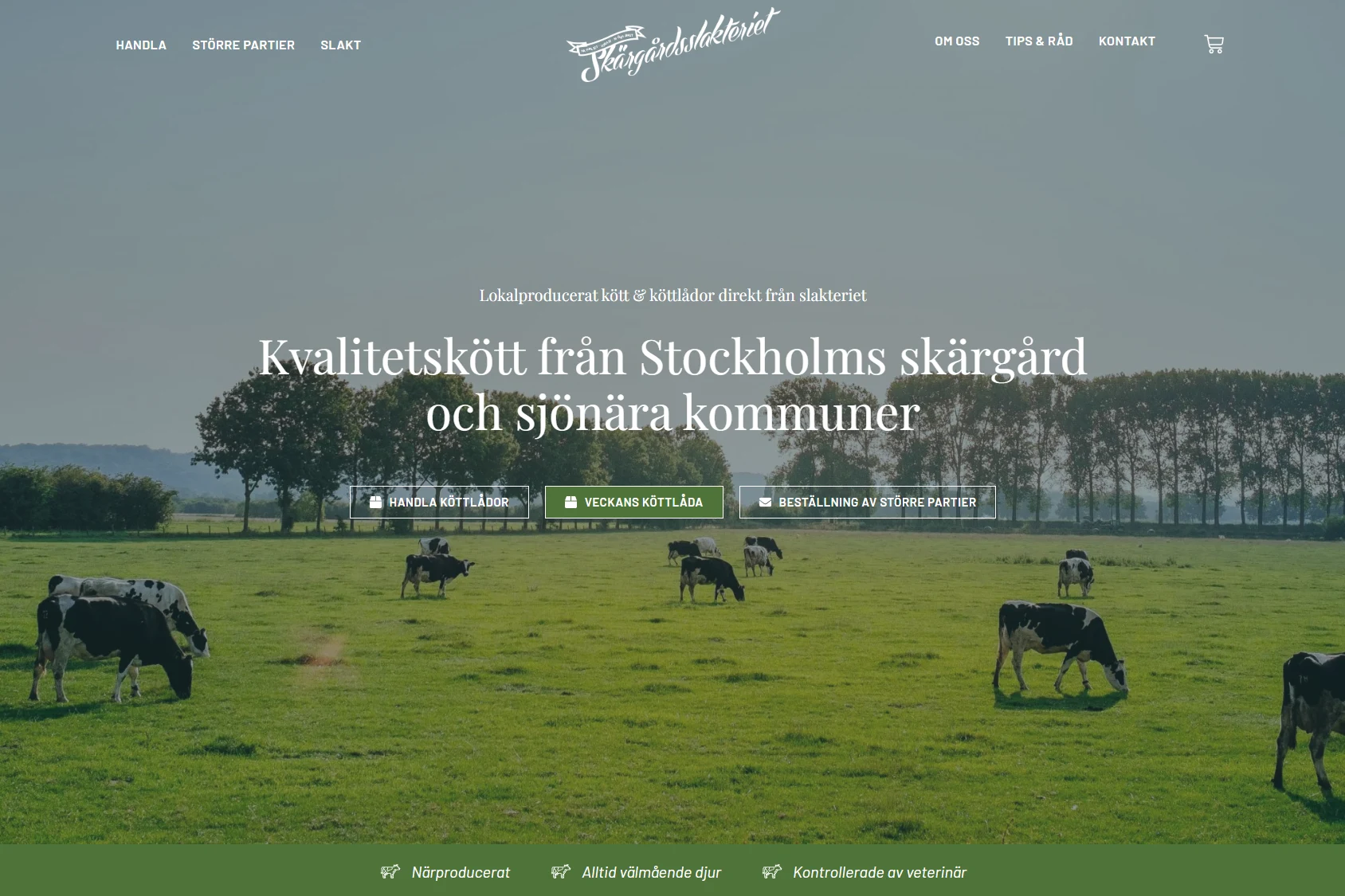 webbdesign webbutveckling webbproduktion norrköping